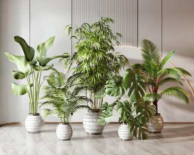 现代植物盆栽3D模型下载